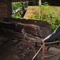 wóz polskiego osadnika w Brazylii